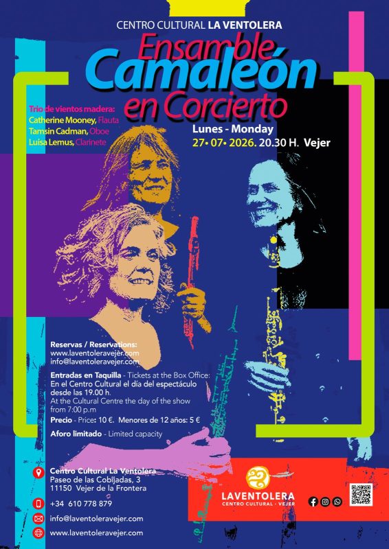 Ensamble camaleón en concierto