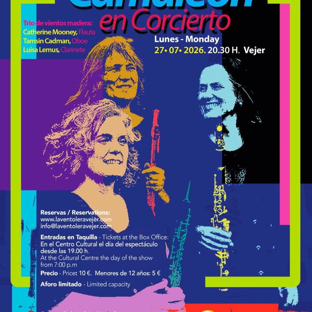Ensamble camaleón en concierto